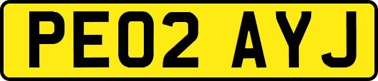 PE02AYJ