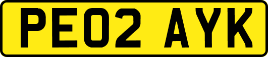 PE02AYK