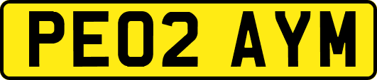 PE02AYM