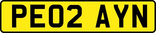 PE02AYN