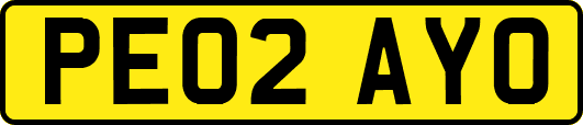 PE02AYO