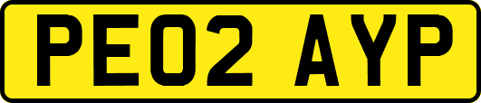 PE02AYP