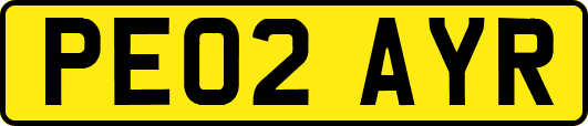 PE02AYR
