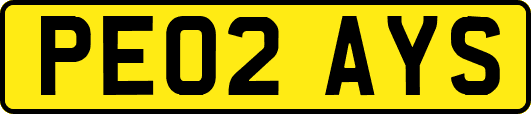 PE02AYS