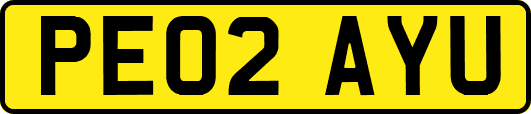 PE02AYU