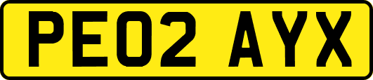 PE02AYX