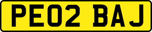 PE02BAJ