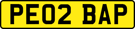 PE02BAP