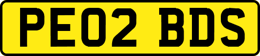 PE02BDS