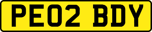 PE02BDY