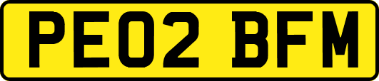 PE02BFM