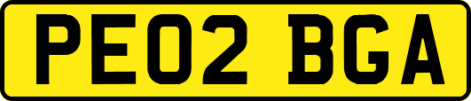 PE02BGA