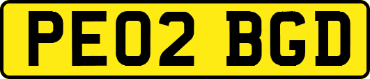 PE02BGD