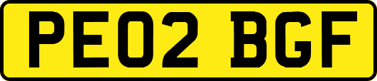 PE02BGF