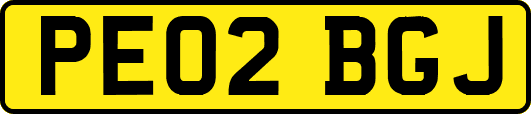 PE02BGJ