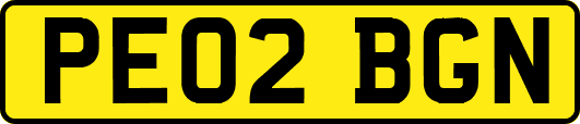 PE02BGN