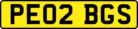 PE02BGS