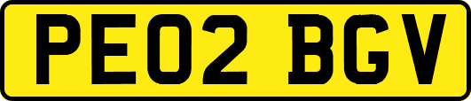PE02BGV