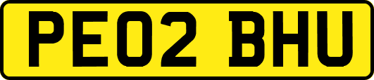 PE02BHU