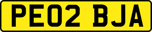 PE02BJA