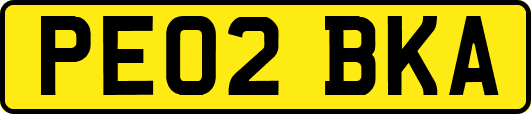 PE02BKA