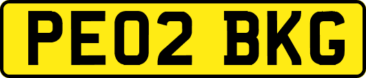PE02BKG