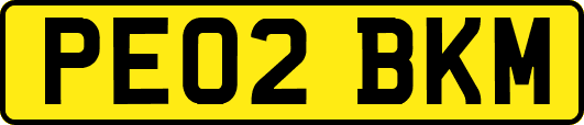 PE02BKM