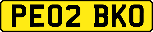 PE02BKO