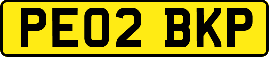 PE02BKP