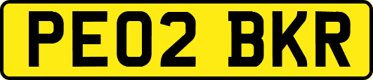 PE02BKR