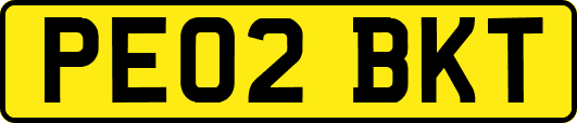 PE02BKT