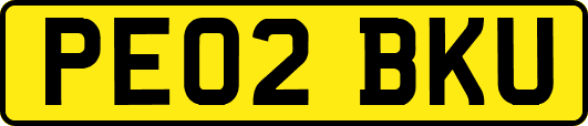 PE02BKU