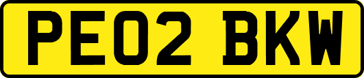 PE02BKW