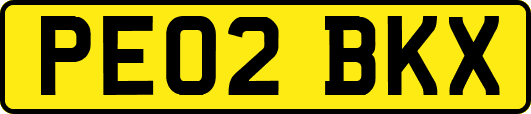 PE02BKX