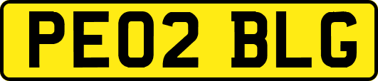 PE02BLG
