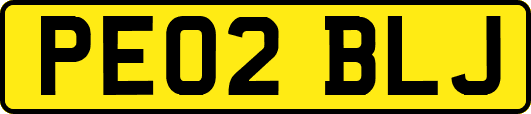 PE02BLJ