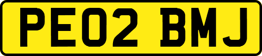 PE02BMJ
