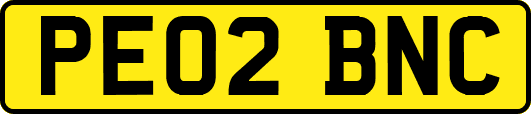 PE02BNC