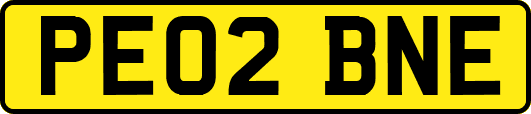 PE02BNE