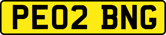 PE02BNG