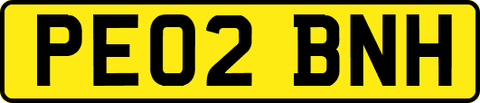 PE02BNH