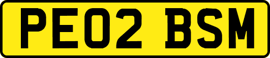 PE02BSM