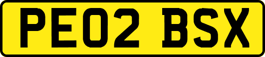 PE02BSX