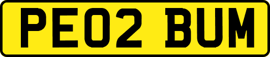 PE02BUM