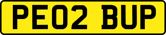 PE02BUP