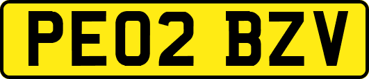 PE02BZV