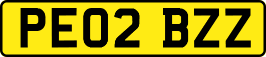PE02BZZ