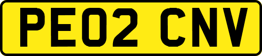 PE02CNV