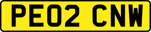 PE02CNW
