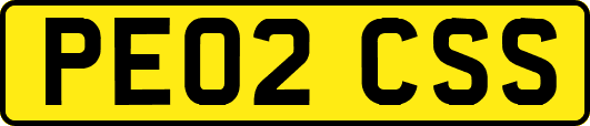 PE02CSS